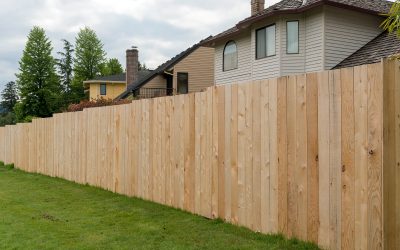 When to Stain New Cedar Fence: A Guide for Perfect Results