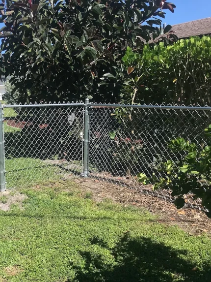 chain link fence in backyard Chain Link Fence In Backyard