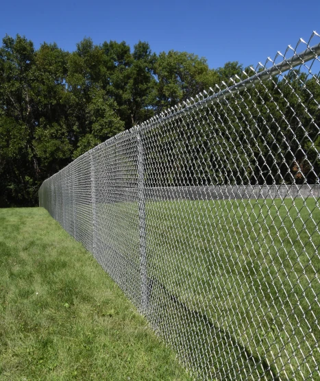 chain link fence in florida